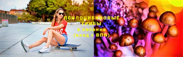шишки Балабаново