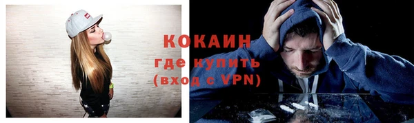 шишки Балабаново