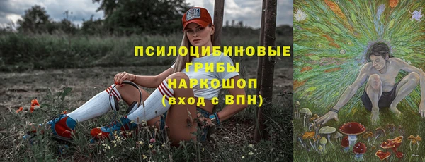 шишки Балабаново