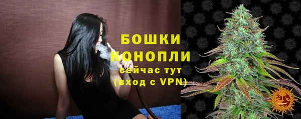 шишки Балабаново