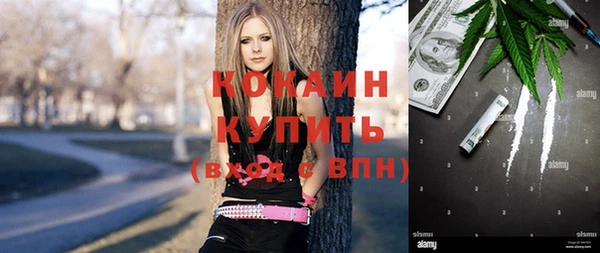 шишки Балабаново