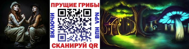 мега онион  Котельниково  Галлюциногенные грибы мицелий 