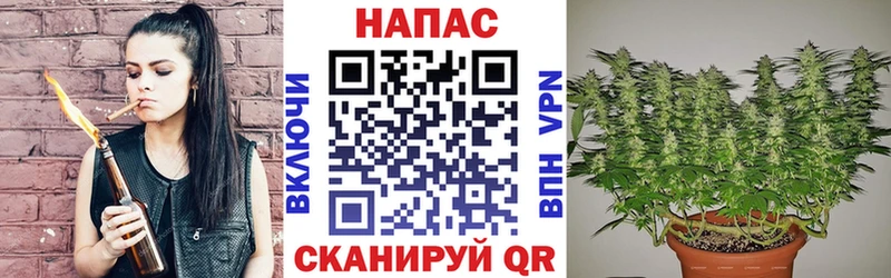 Канабис тримм  купить наркоту  Котельниково 